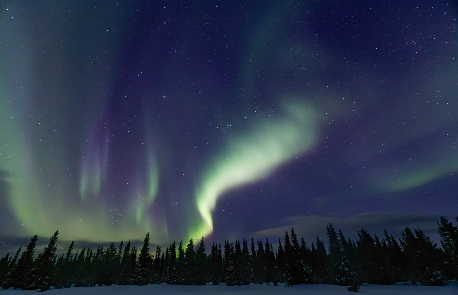 aurore boréale, Laponie, Finlande, hiver, forêt, Nature