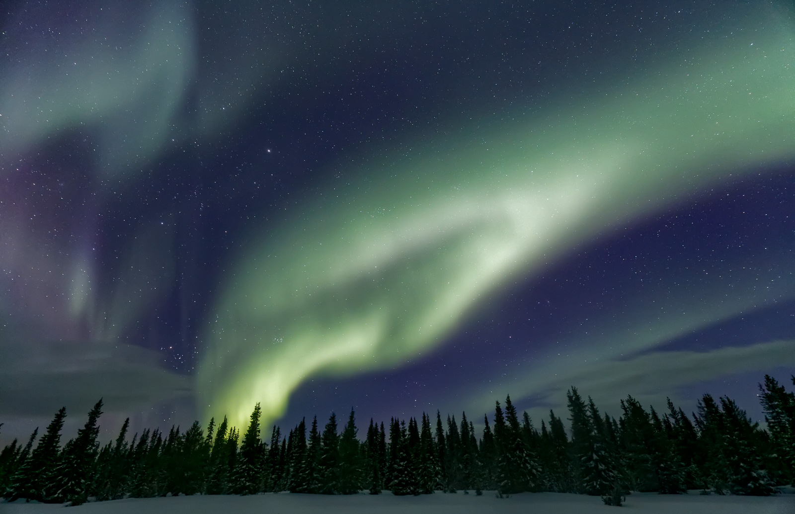 Aurore boreale, Laponie, Finlande, foret