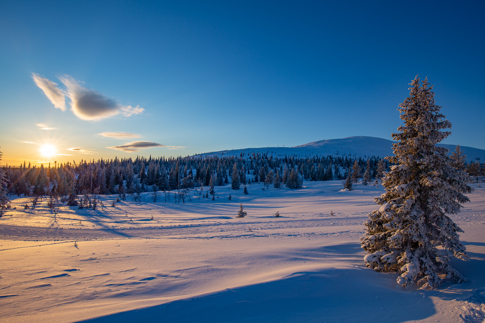 Parc national de Pallas-Yllästunturi, Laponie, Finlande, paysages, hiver