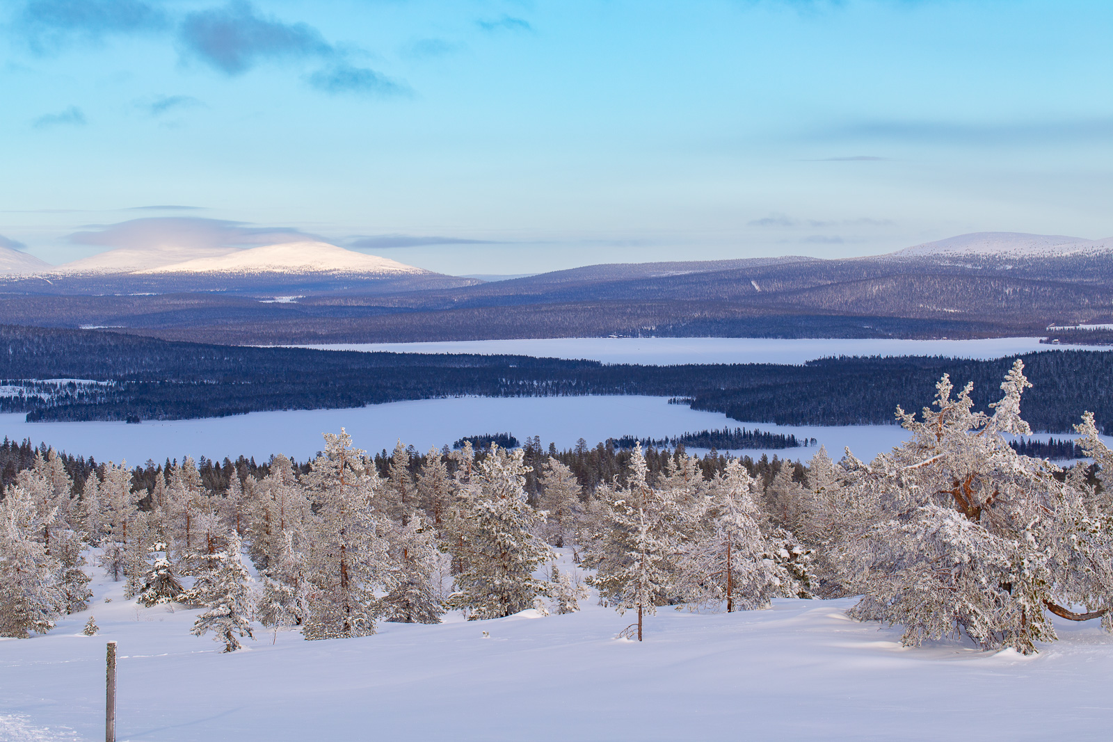 Panorama, Laponie, hiver, lacs, foret, neige, montagne, paysages