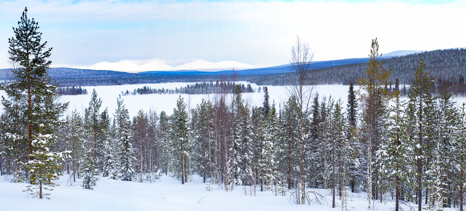 Särkijärvi, Pallastunturi , neige, hiver, Finlande, Laponie,paysages, nature